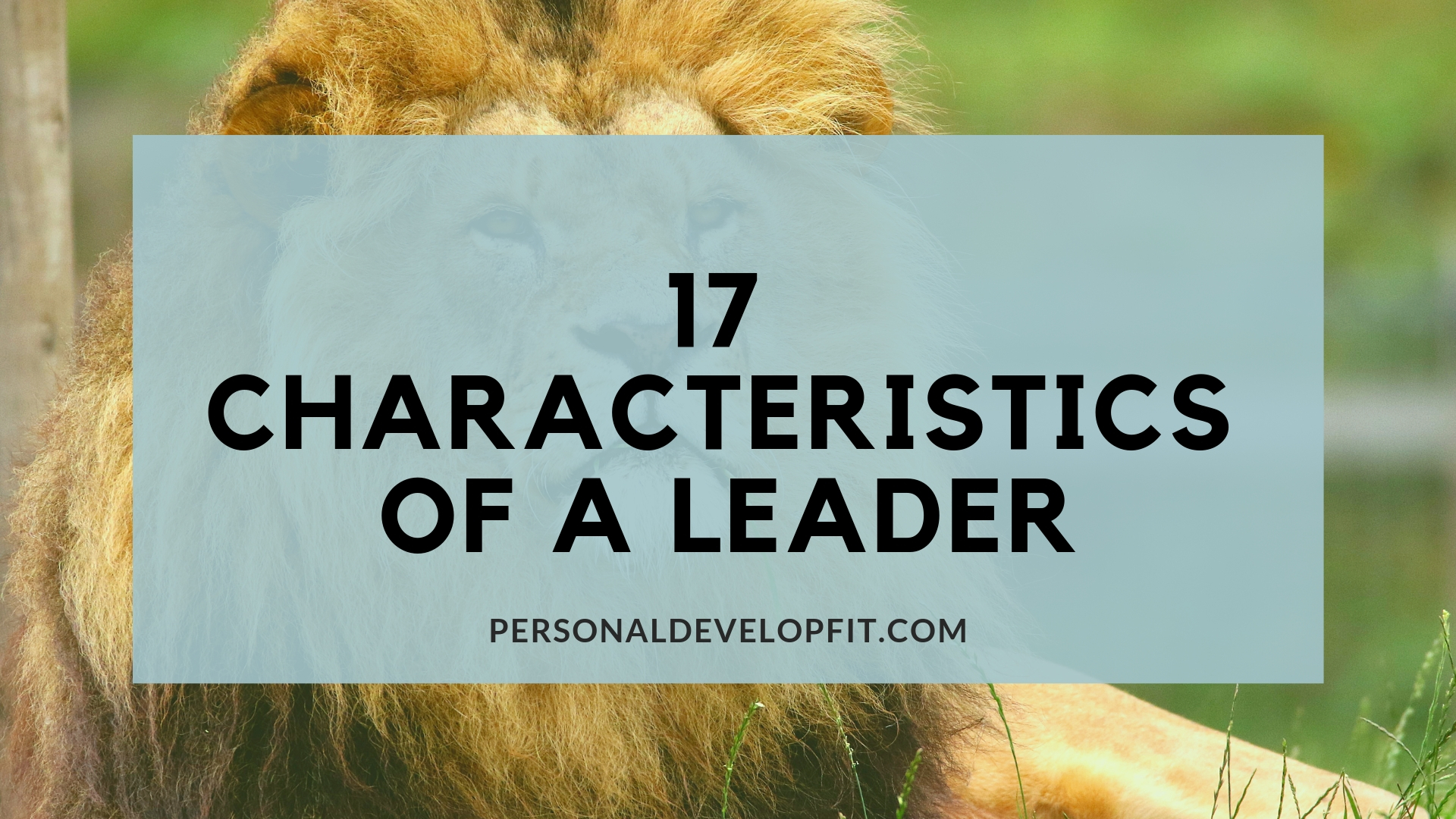 17-characteristics-of-a-leader-the-art-of-leadership