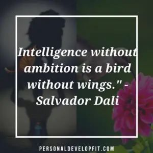 quotes about ambition
