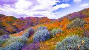 relaxing things to do