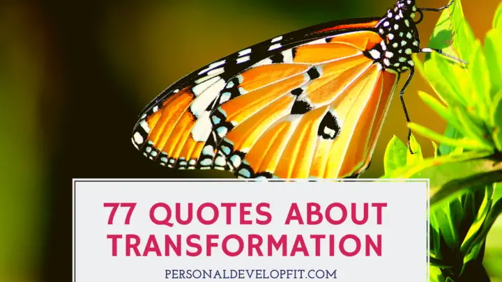 77 Powerful Quotes About Transformation