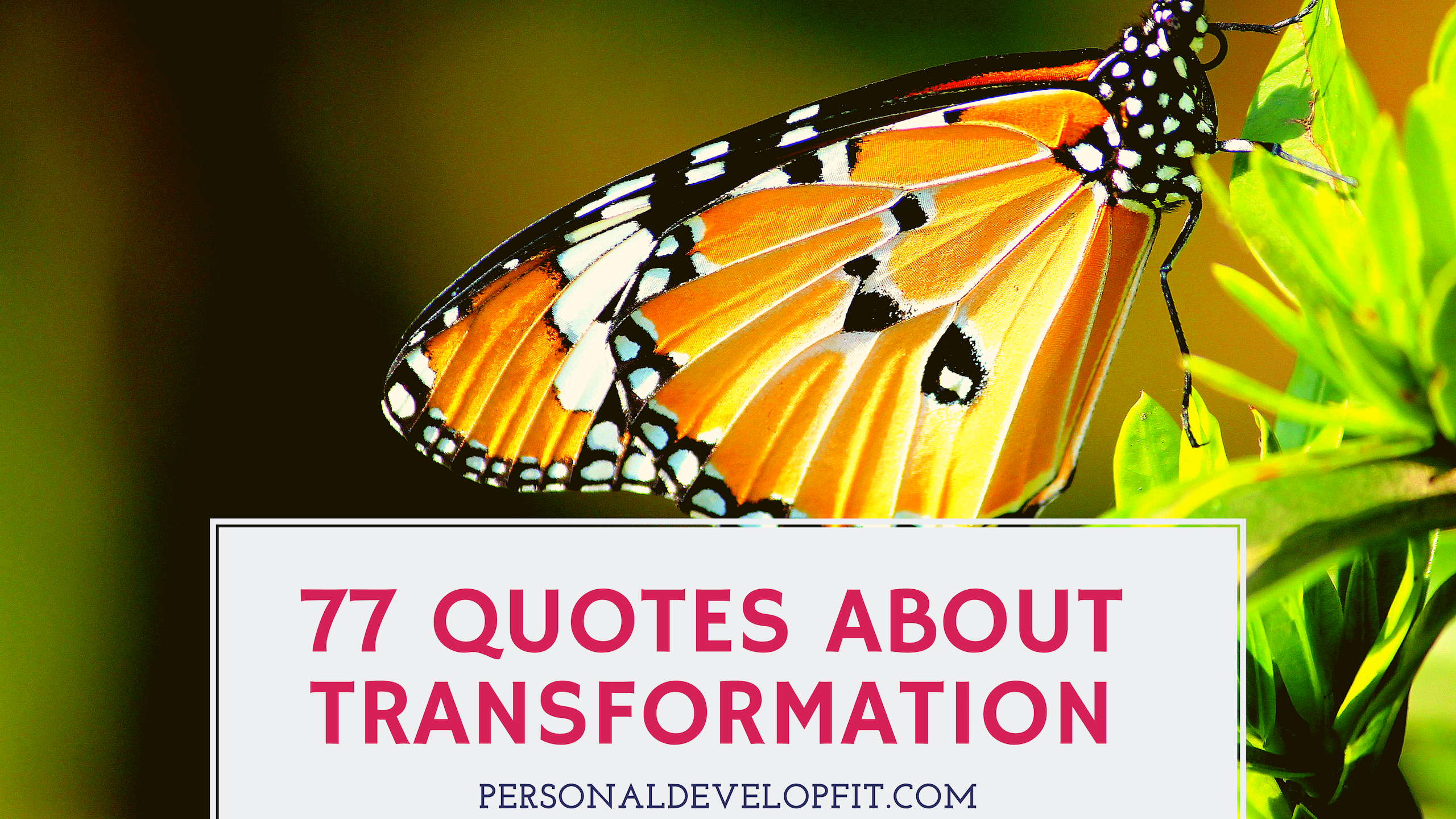 77 Powerful Quotes About Transformation